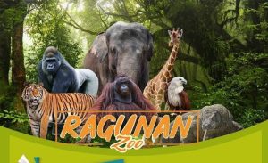 Harga Tiket Ragunan Lebaran 2025, Lengkap dengan Jam Operasionalnya
